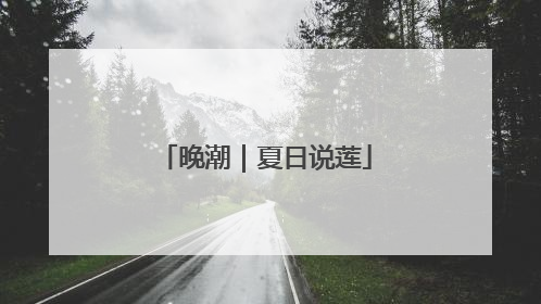 晚潮｜夏日说莲